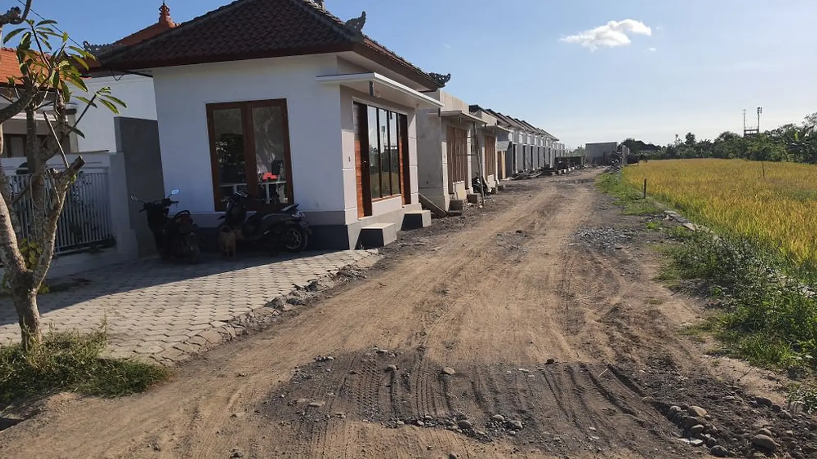 The main road inside LC Residence with a finished home on the left and a rice field on the right