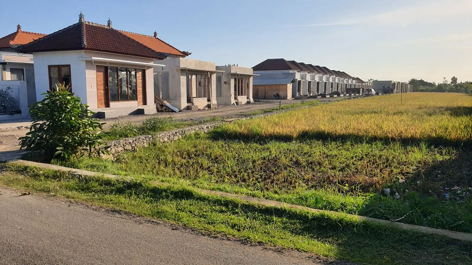 Single-storey homes at LC Residence with red tiled roofs beside an open rice field in Dauhwaru